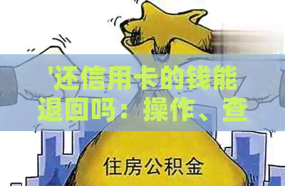 '还信用卡的钱能退回吗：操作、查询与撤销完整指南'