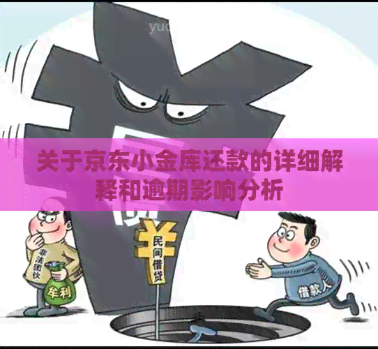 关于京东小金库还款的详细解释和逾期影响分析