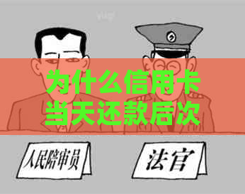 为什么信用卡当天还款后次日才能正常使用？