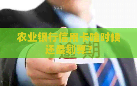 农业银行信用卡啥时候还最划算？