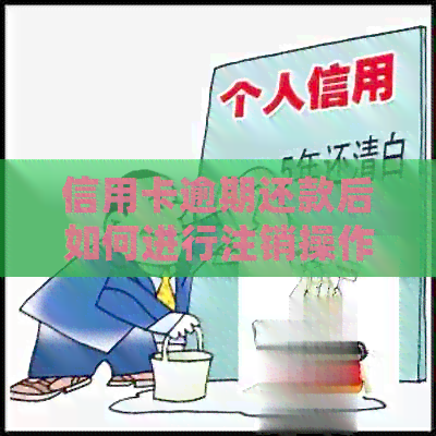 信用卡逾期还款后如何进行注销操作，了解详细步骤和注意事项