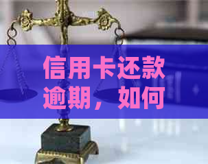 信用卡还款逾期，如何处理更换手机号码后产生的信用问题？