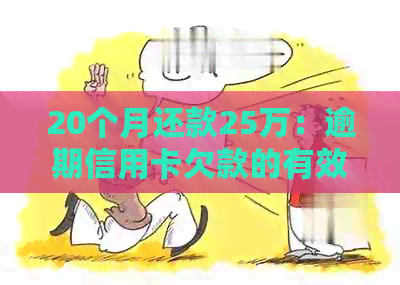 20个月还款25万：逾期信用卡欠款的有效解决策略