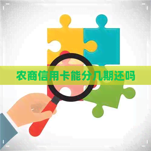 农商信用卡能分几期还吗