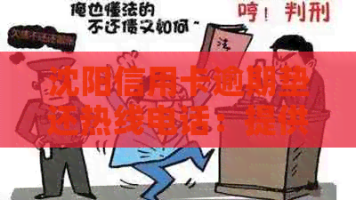 沈阳信用卡逾期垫还热线电话：提供全方位金融服务资讯