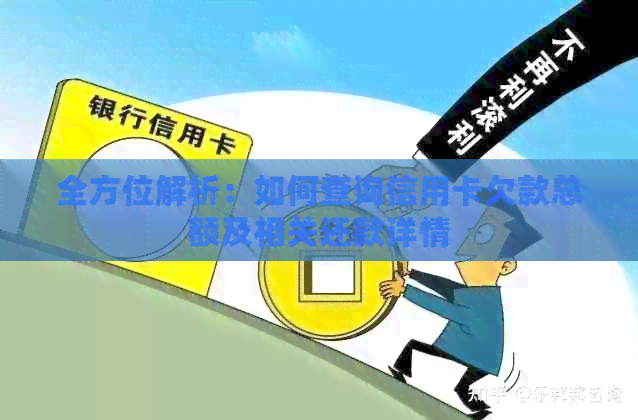 全方位解析：如何查询信用卡欠款总额及相关还款详情