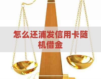 怎么还浦发信用卡随机借金