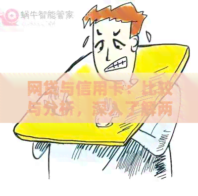 网贷与信用卡：比较与分析，深入了解两者的潜在风险与影响