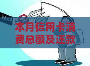 本月信用卡消费总额及还款计划分析