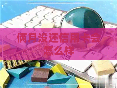 俩月没还信用卡会怎么样