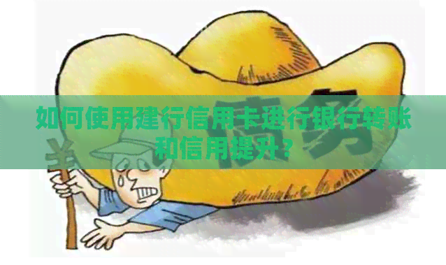 如何使用建行信用卡进行银行转账和信用提升？