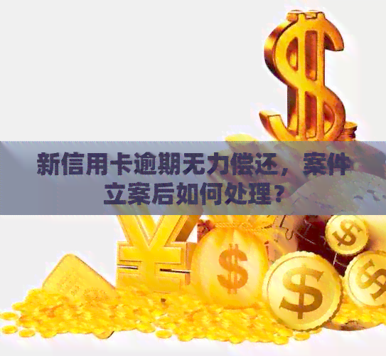 新信用卡逾期无力偿还，案件立案后如何处理？