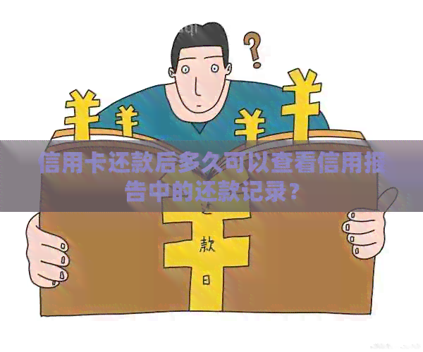 信用卡还款后多久可以查看信用报告中的还款记录？