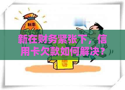 新在财务紧张下，信用卡欠款如何解决？
