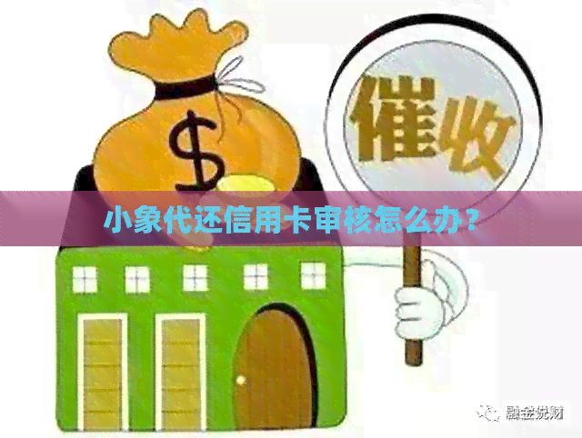 小象代还信用卡审核怎么办？
