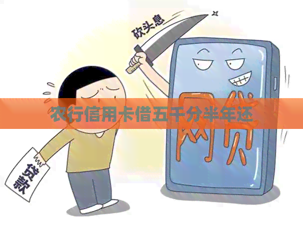 农行信用卡借五千分半年还