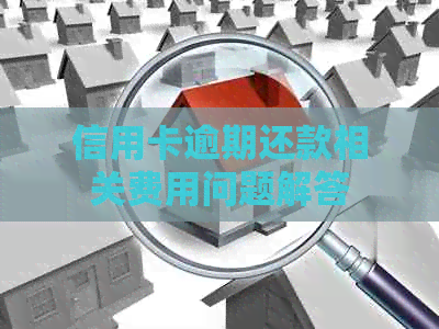 信用卡逾期还款相关费用问题解答