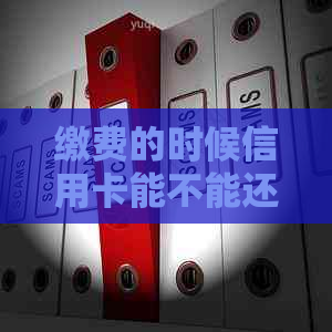 缴费的时候信用卡能不能还信用卡及其它账单