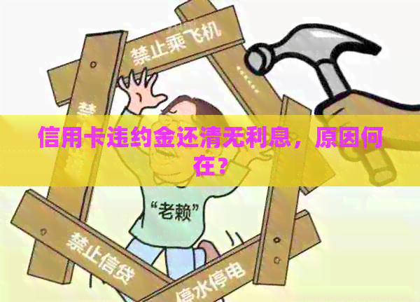 信用卡违约金还清无利息，原因何在？