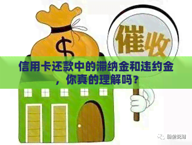 信用卡还款中的滞纳金和违约金，你真的理解吗？