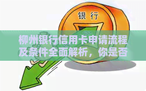 柳州银行信用卡申请流程及条件全面解析，你是否合办理条件？