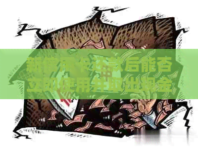 新信用卡还款后能否立即使用并取出现金？