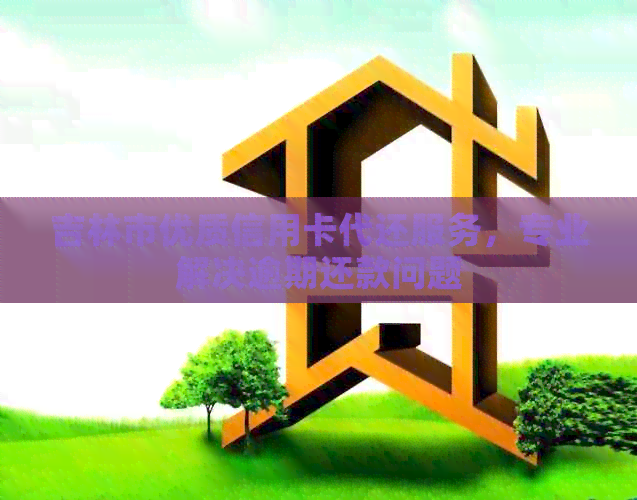 吉林市优质信用卡代还服务，专业解决逾期还款问题