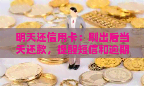 明天还信用卡：刷出后当天还款，提醒短信和逾期影响解答