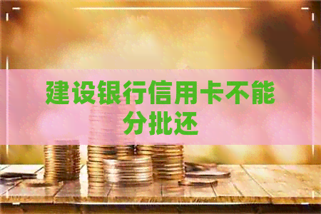 建设银行信用卡不能分批还