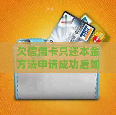 欠信用卡只还本金方法申请成功后如何操作以确保退款?有哪些具体步骤?