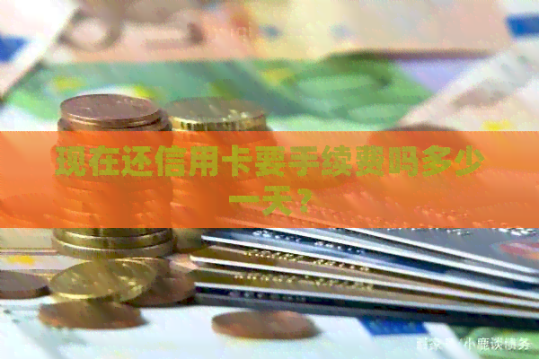 现在还信用卡要手续费吗多少一天？