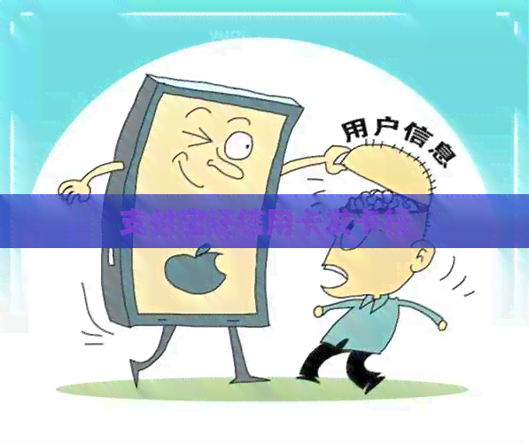 支付宝还信用卡发卡行