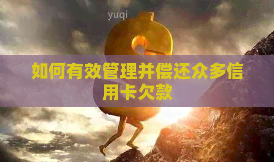 如何有效管理并偿还众多信用卡欠款
