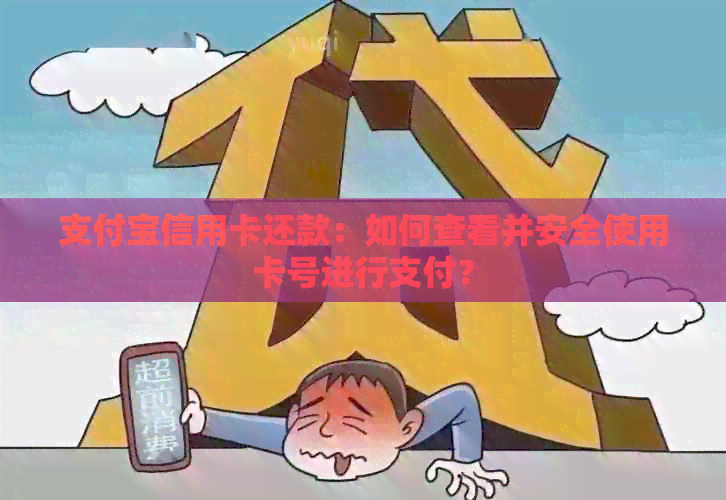 支付宝信用卡还款：如何查看并安全使用卡号进行支付？