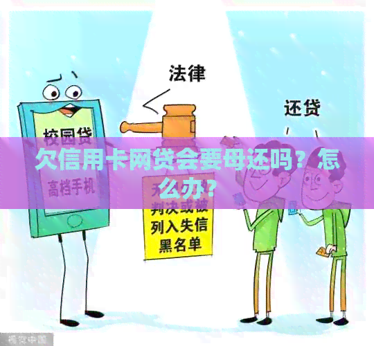 欠信用卡网贷会要母还吗？怎么办？