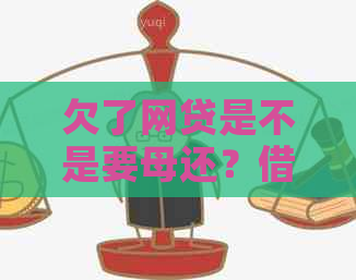 欠了网贷是不是要母还？借款人还款责任与母相关性探讨