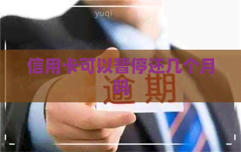 信用卡可以暂停还几个月吗