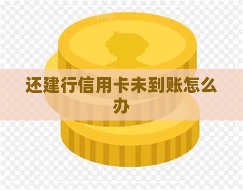 还建行信用卡未到账怎么办