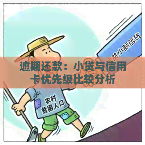 逾期还款：小贷与信用卡优先级比较分析