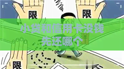 小贷和信用卡没钱先还哪个
