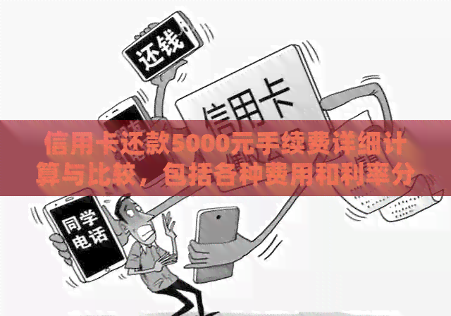 信用卡还款5000元手续费详细计算与比较，包括各种费用和利率分析