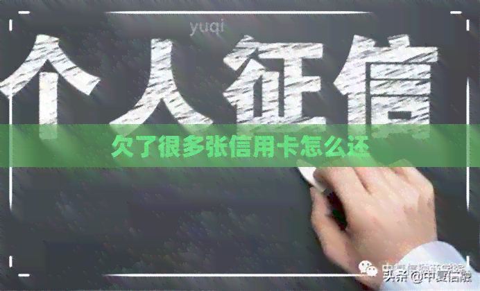 欠了很多张信用卡怎么还