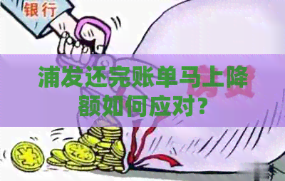 浦发还完账单马上降额如何应对？