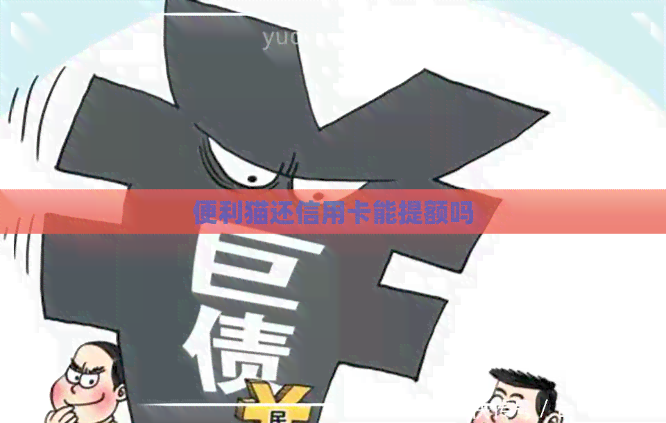 便利猫还信用卡能提额吗
