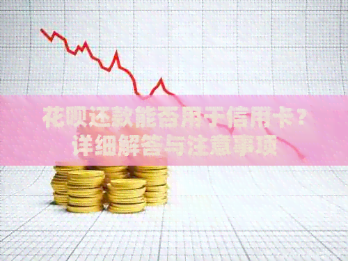 信用卡还款能否用于信用卡？详细解答与注意事项