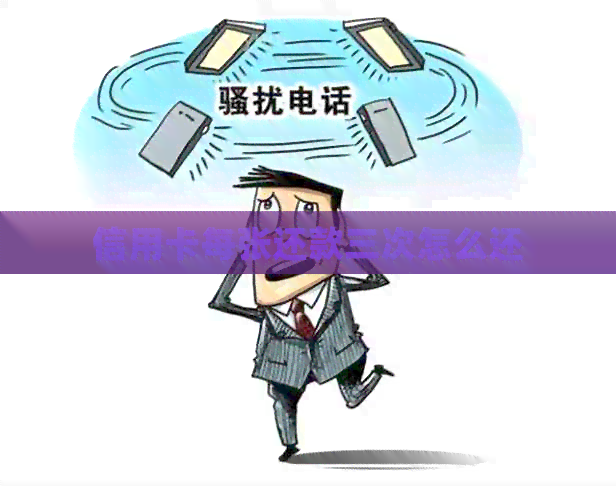 信用卡每张还款三次怎么还