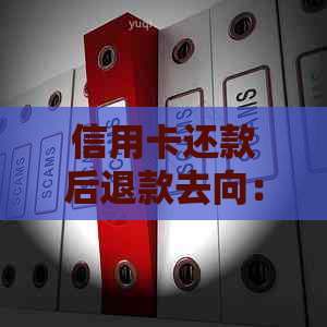 信用卡还款后退款去向：账户余额、原路退回还是其他方式？了解详细退款流程