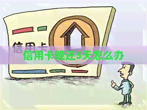 信用卡晚还5天怎么办