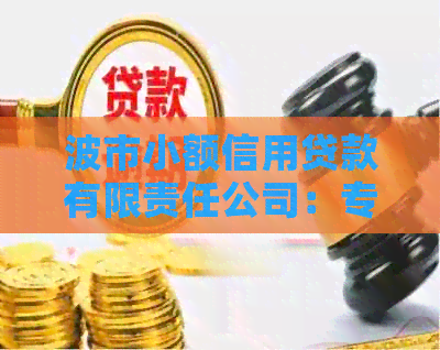 波市小额信用贷款有限责任公司：专业为您提供个人贷款服务
