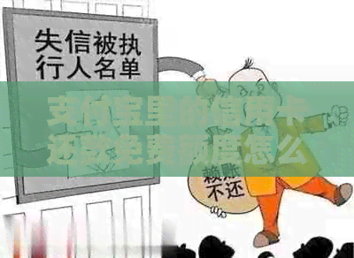 支付宝里的信用卡还款免费额度怎么用：解决使用问题
